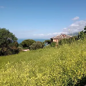 https://bb-casa-ninni.hotelitalianriviera.com